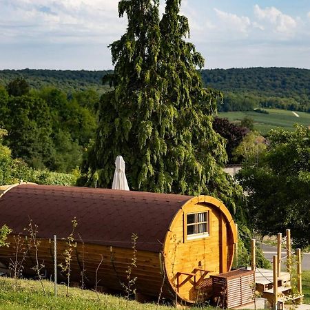 Experience Insolite : Tonneau Merveilleux Cormoyeux Exterior photo
