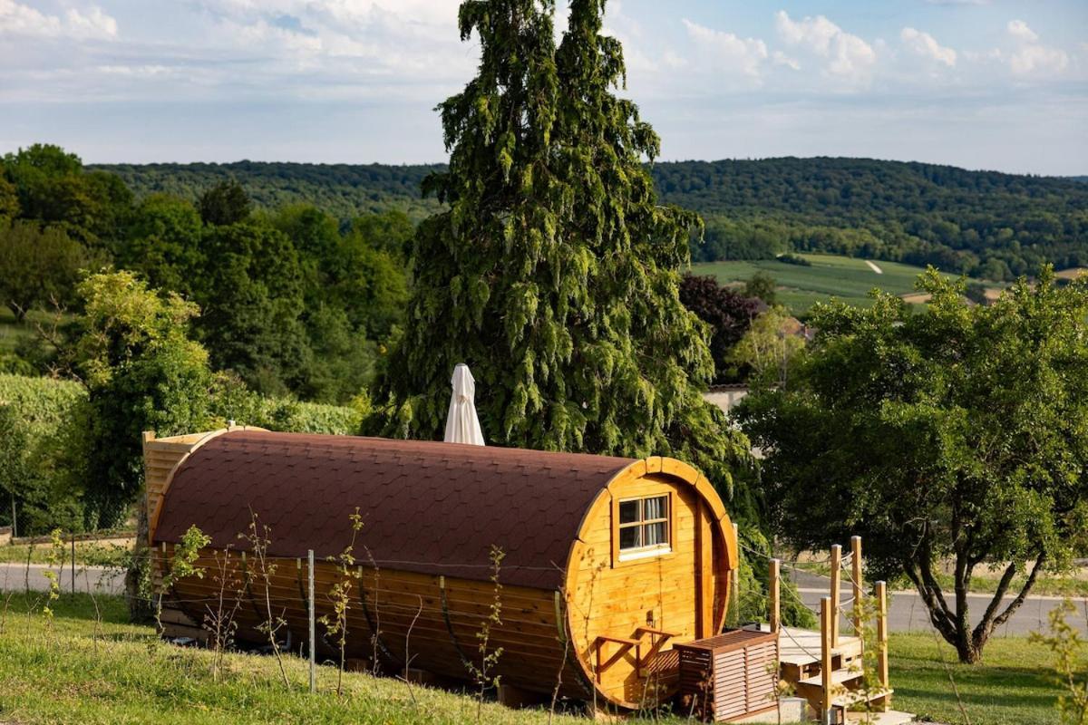 Experience Insolite : Tonneau Merveilleux Cormoyeux Exterior photo