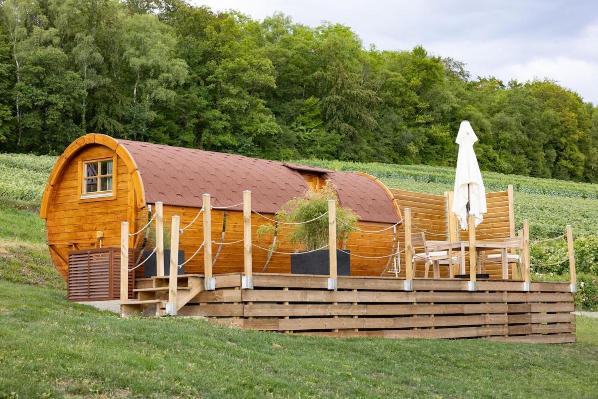 Experience Insolite : Tonneau Merveilleux Cormoyeux Exterior photo